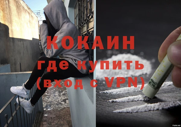 ПСИЛОЦИБИНОВЫЕ ГРИБЫ Аркадак