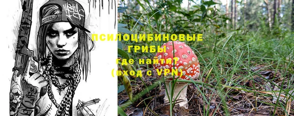 трава Армянск