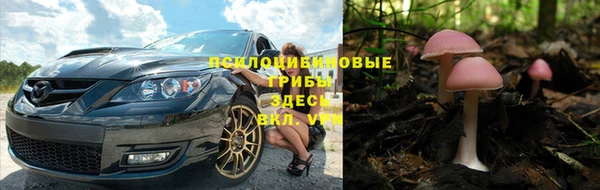 трава Армянск